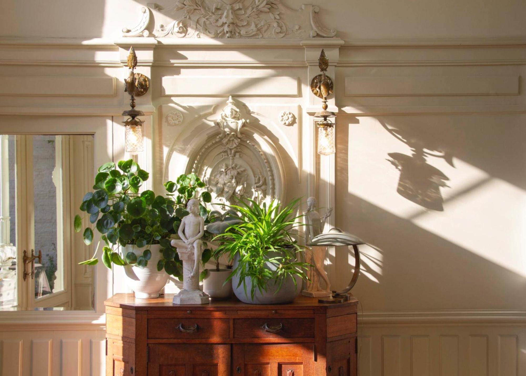 Huis Dujardin Bed&Breakfast Antwerp Exterior photo
