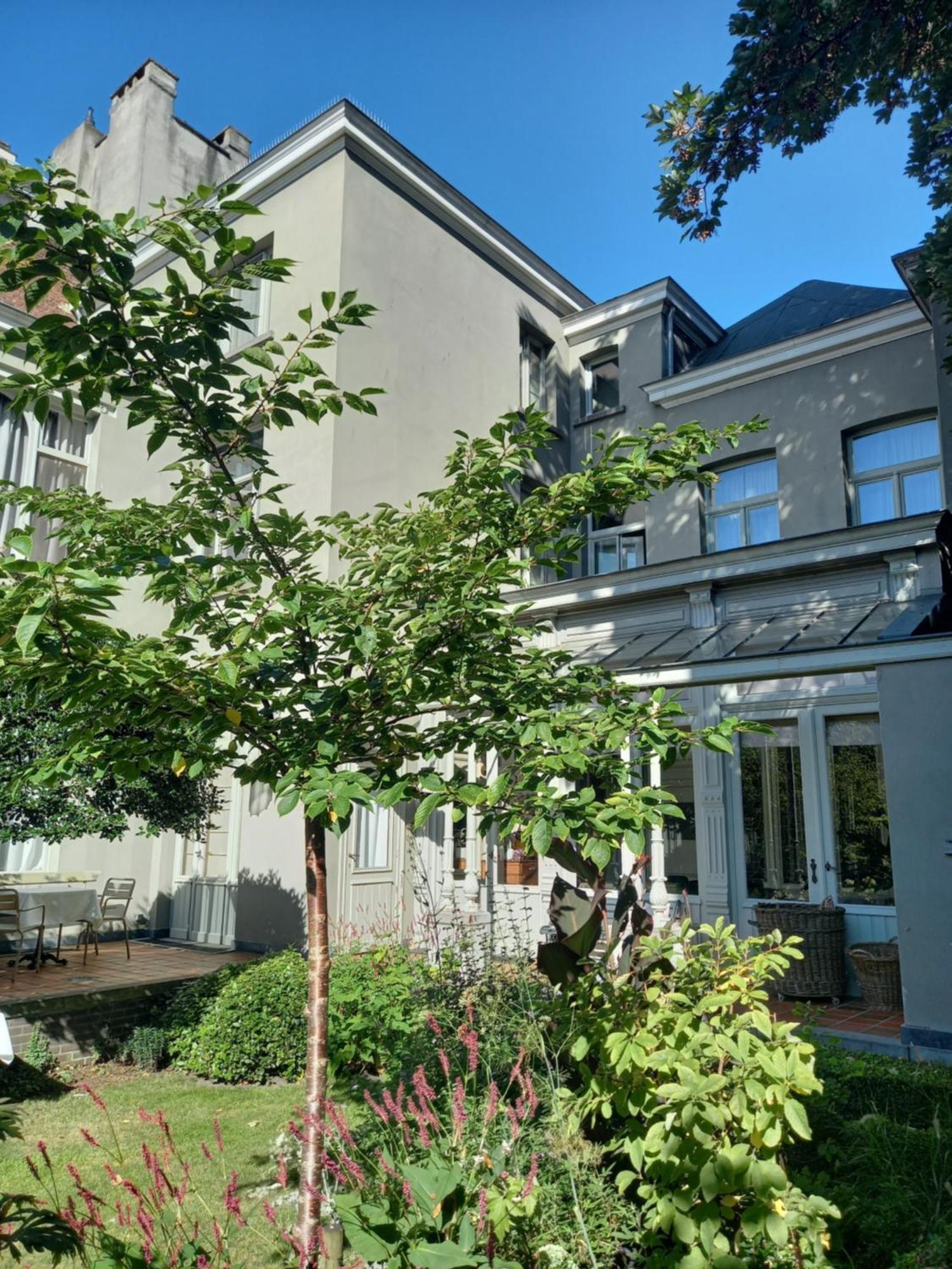 Huis Dujardin Bed&Breakfast Antwerp Exterior photo